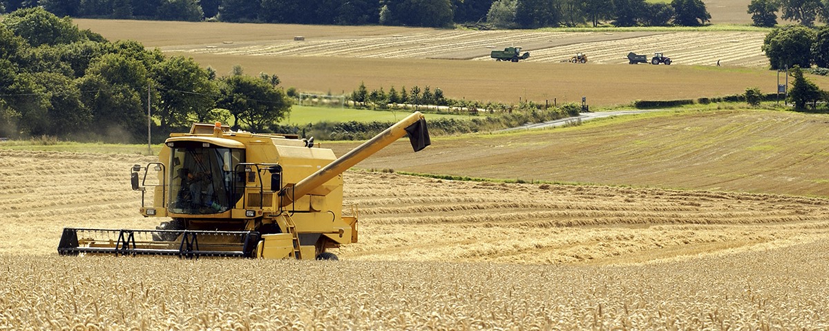 AGRICULTURAL